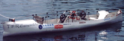 esm1.gif (40483 bytes)
